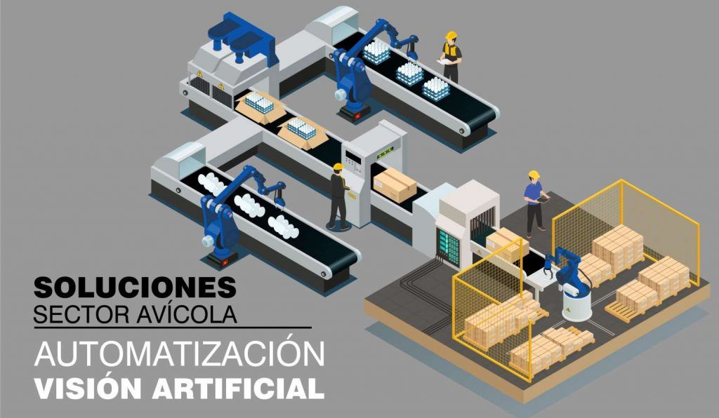 not2 1024x596 - Automatización y visión artificial para el sector avícola